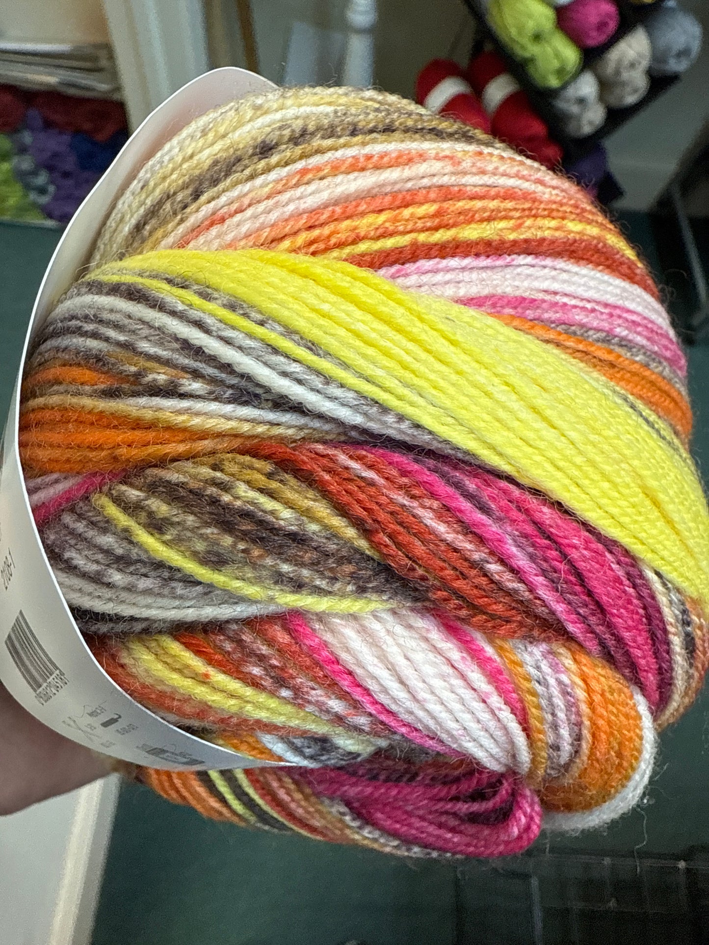 Laines du Nord Eclectic sock yarn