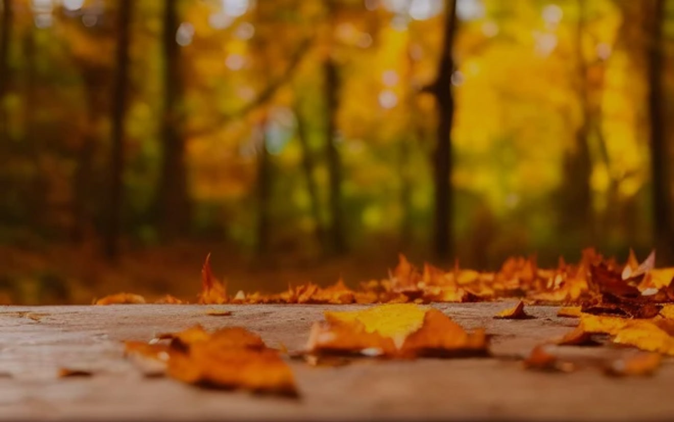 Fall Into Mystery